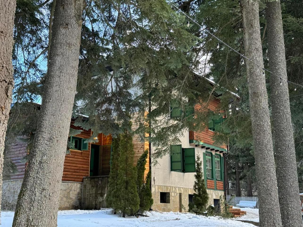 Villa Adis With Hot Pool & Jacuzzi By Bookvillabg Borovets Luaran gambar